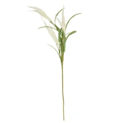Shop Galazka Sztuczna Sari Ecru 70 Cm Sztuczne Kwiaty I Rośliny