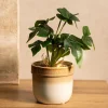 Best Roslina Sztuczna Semela Monstera 25 Cm Sztuczne Rośliny Na Balkon