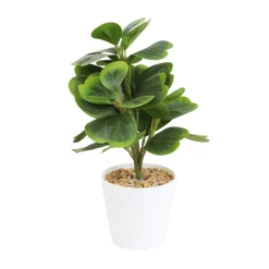 Store Roslina Sztuczna Semela Peperomia 30 Cm Sztuczne Rośliny Na Balkon