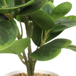 Store Roslina Sztuczna Semela Peperomia 30 Cm Sztuczne Rośliny Na Balkon