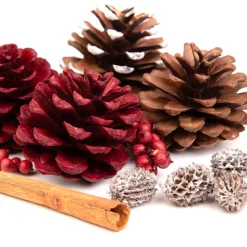 Best Susz Dekoracyjny Roque Pine & Cinnamon 18X12X7 Cm Sztuczne Kwiaty I Rośliny