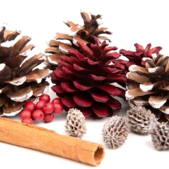 Hot Susz Dekoracyjny Roque Pine & Cinnamon 12X16 Cm Sztuczne Kwiaty I Rośliny