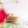 Online Swieca Zapachowa Colors Of Seasons Orange Blossom 150 G Świece Ogródowe