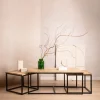 Clearance Zestaw Stolikow Kawowych Maya Lite Drewno Mango + Metal 110X60X45 Cm/50X50X40Cm Stoliki Kawowe