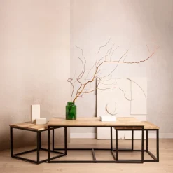 Clearance Zestaw Stolikow Kawowych Maya Lite Drewno Mango + Metal 110X60X45 Cm/50X50X40Cm Stoliki Kawowe