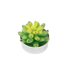 Store Zestaw Swiec Jade 6 Szt. Sukulenty 166 G Świece Dekoracyjne